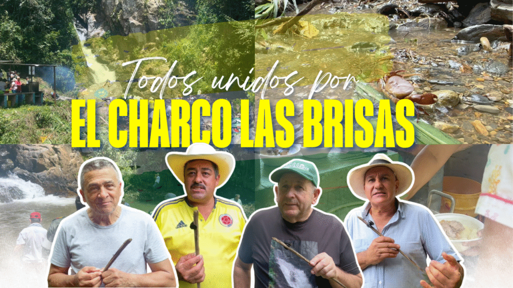 Especial Cascada Las Brisas: naturaleza, aventura y paisajes que enamoran
