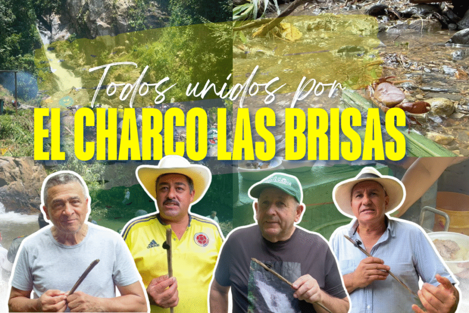 Cascada las brisas